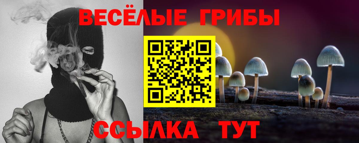 Псилоцибиновые грибы прущие грибы  Псилоцибиновые грибы мухоморы  Вход с VPN  Кизилюрт 